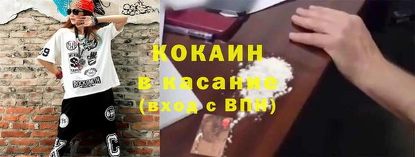 ГАЛЛЮЦИНОГЕННЫЕ ГРИБЫ Аркадак