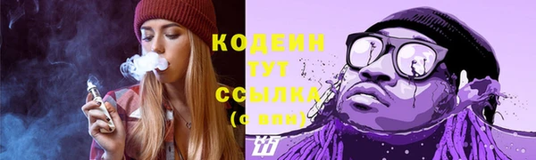 хмурый Арсеньев