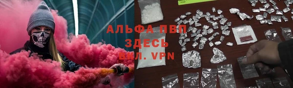 ГАЛЛЮЦИНОГЕННЫЕ ГРИБЫ Аркадак