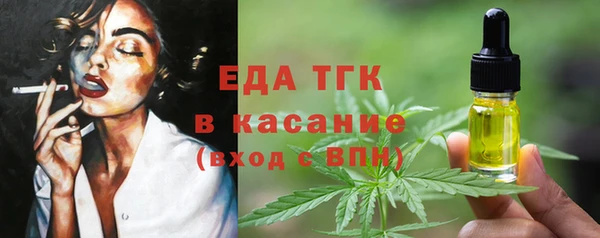 хмурый Арсеньев