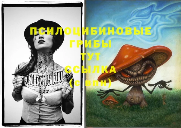 ГАЛЛЮЦИНОГЕННЫЕ ГРИБЫ Аркадак