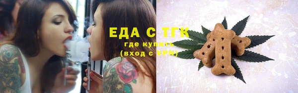 ГАЛЛЮЦИНОГЕННЫЕ ГРИБЫ Аркадак