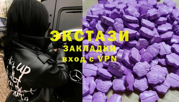 хмурый Арсеньев