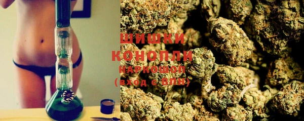 ГАЛЛЮЦИНОГЕННЫЕ ГРИБЫ Аркадак