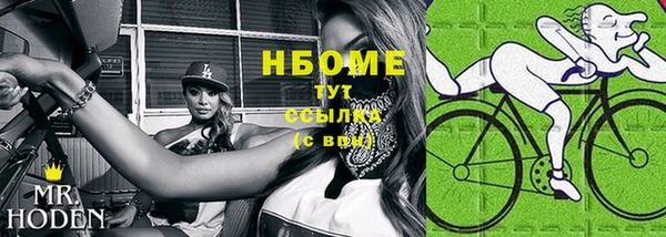 хмурый Арсеньев