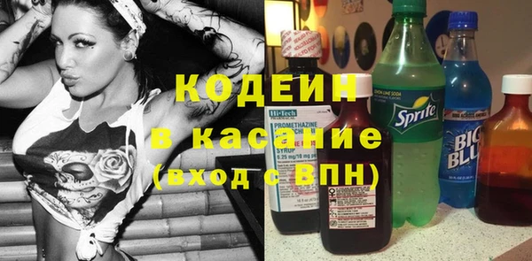 хмурый Арсеньев