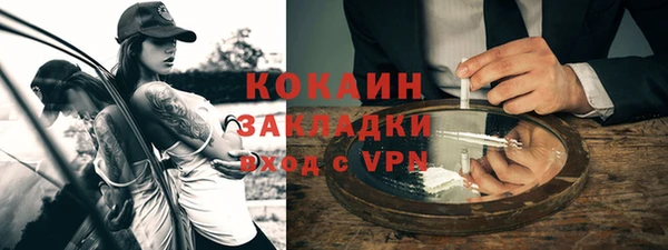 ГАЛЛЮЦИНОГЕННЫЕ ГРИБЫ Аркадак