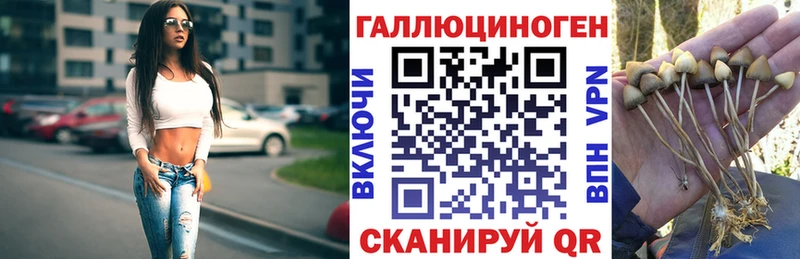 Галлюциногенные грибы ЛСД  Кинель 
